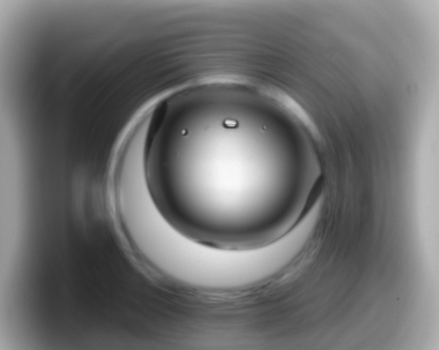 X0000099581132200805231545