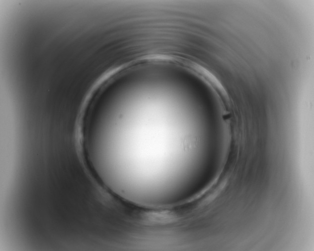 X0000099581133200805231545
