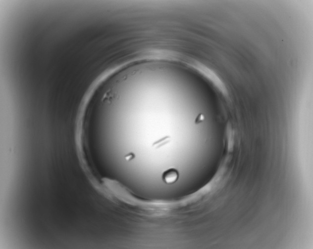 X0000099581136200805231545