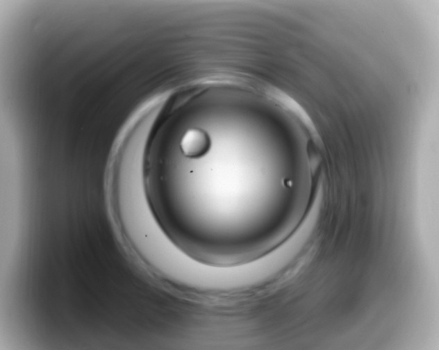 X0000099581138200805231545