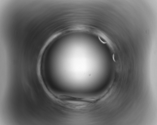 X0000099581139200805231545
