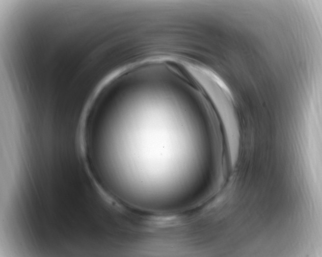 X0000099581143200805231545