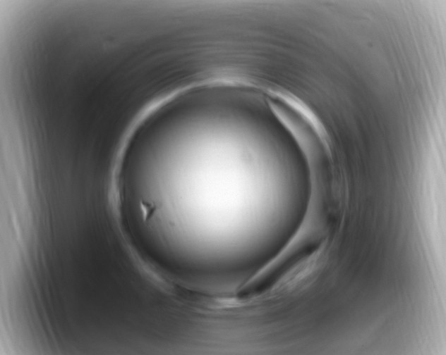 X0000099581144200805231545