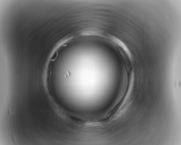 X0000099581146200805231545