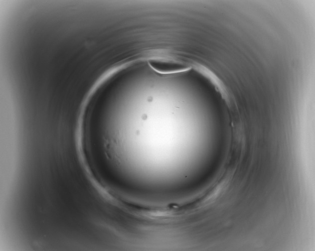 X0000099581147200805231546