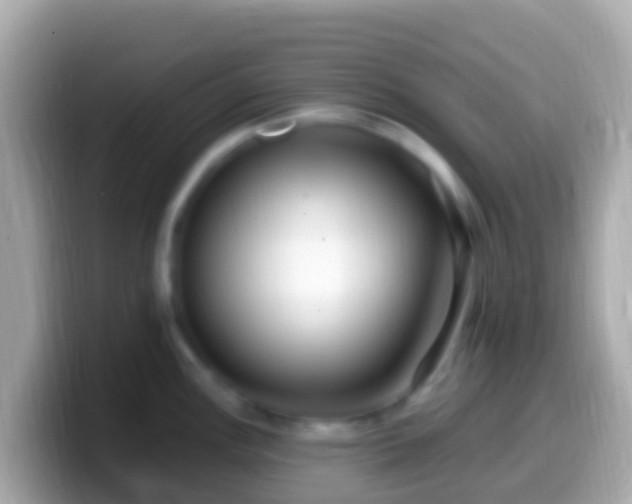 X0000099581148200805231546