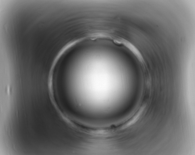 X0000099581149200805231546