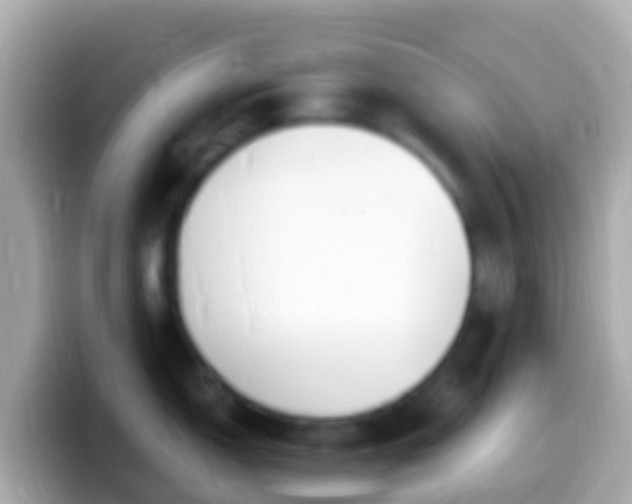 X0000099581150200805231546