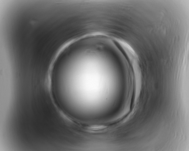 X0000099581151200805231546