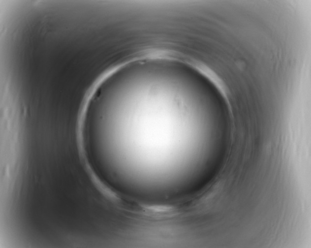 X0000099581152200805231546