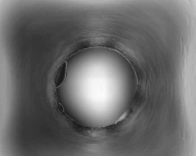 X0000099581153200805231545