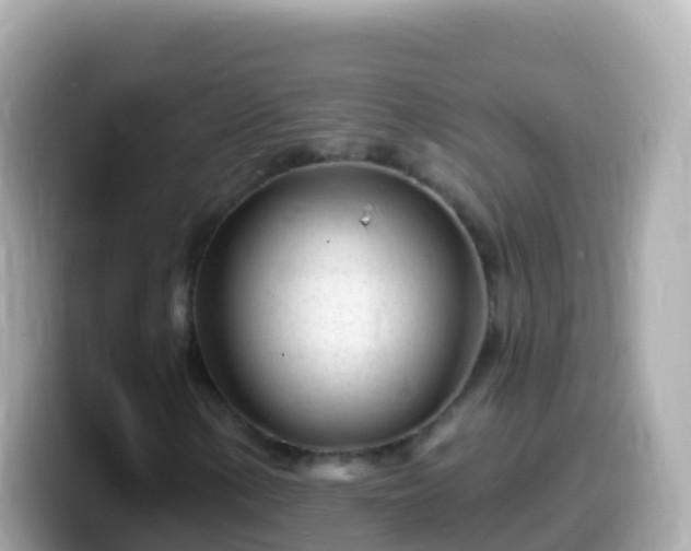 X0000099581154200805231545