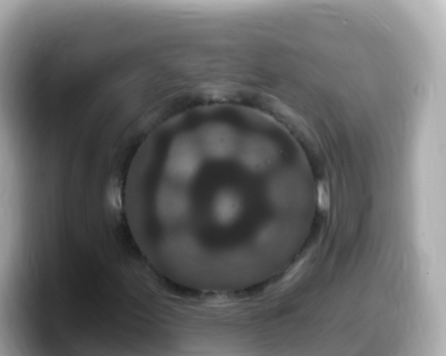 X0000099581155200805231545
