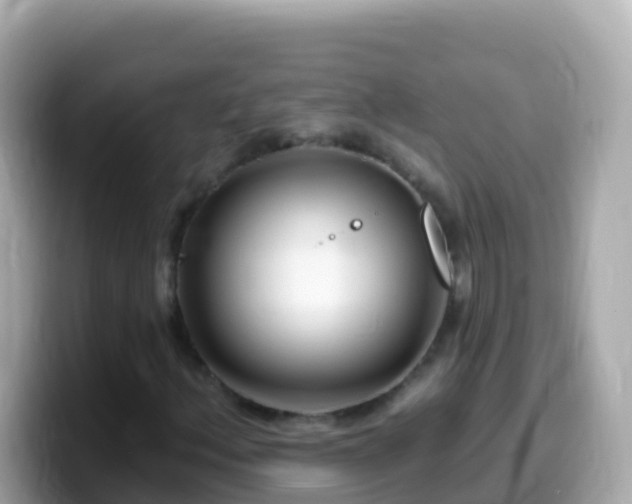 X0000099581156200805231545