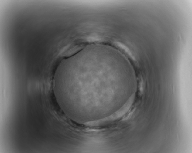 X0000099581157200805231545