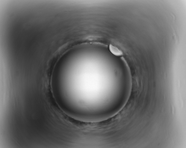 X0000099581158200805231545