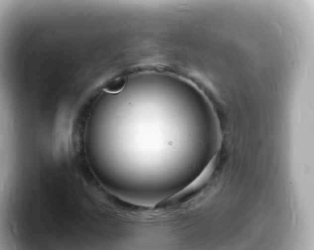 X0000099581159200805231545