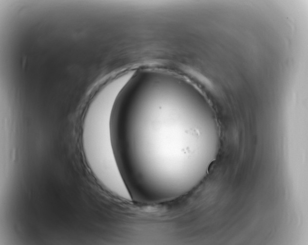 X0000099581160200805231545