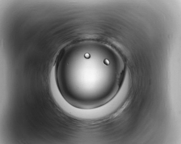 X0000099581161200805231545