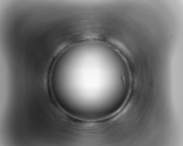 X0000099581162200805231545