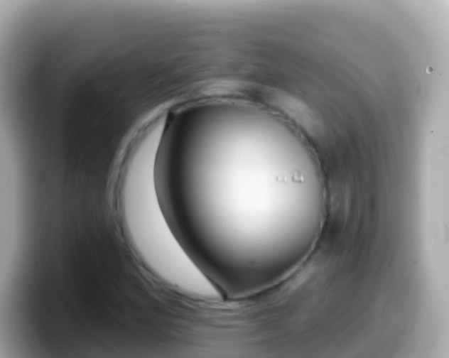 X0000099581164200805231545
