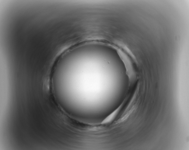 X0000099581165200805231545