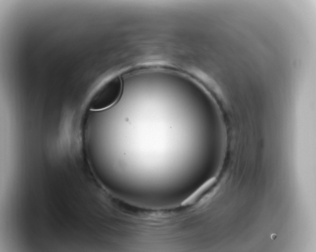 X0000099581167200805231545