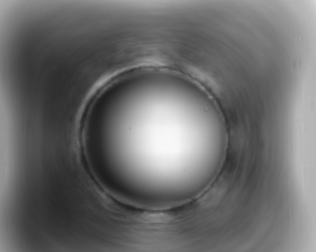 X0000099581168200805231545