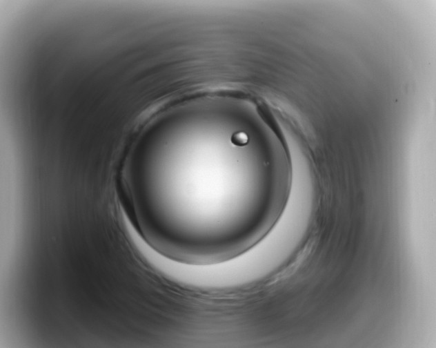 X0000099581169200805231545