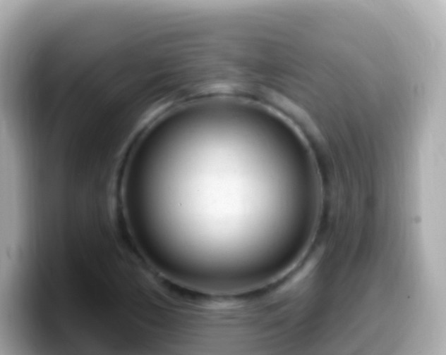 X0000099581170200805231545