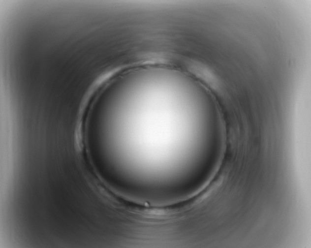 X0000099581172200805231545