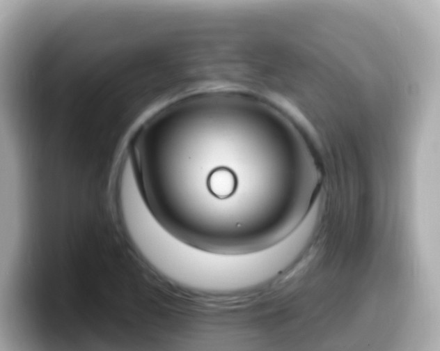 X0000099581173200805231545