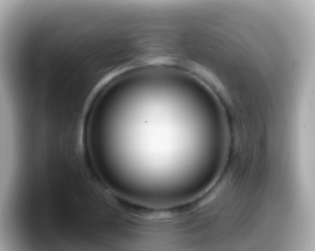 X0000099581174200805231545