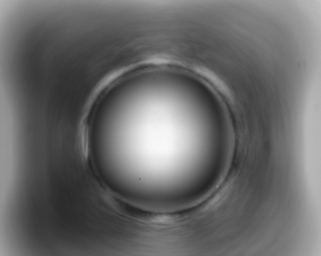 X0000099581175200805231545