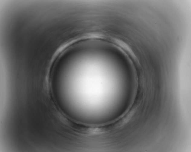X0000099581176200805231545