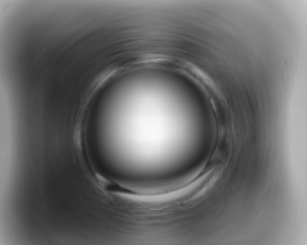 X0000099581177200805231545