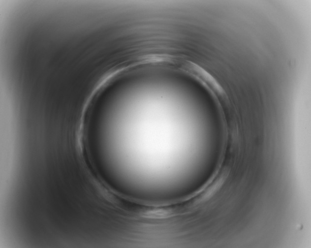 X0000099581178200805231545