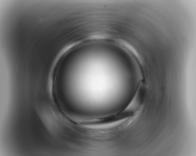 X0000099581179200805231545