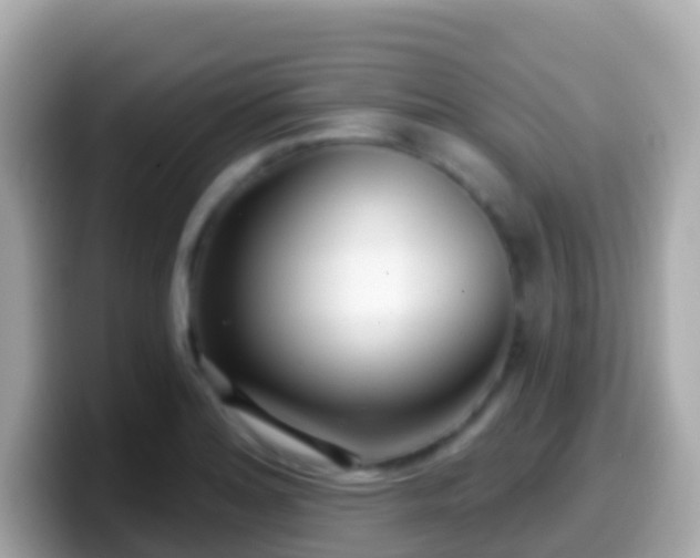 X0000099581180200805231545