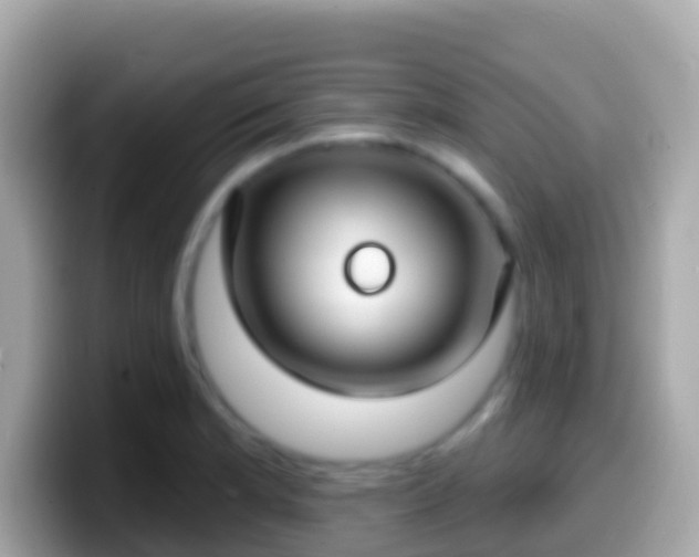 X0000099581181200805231545