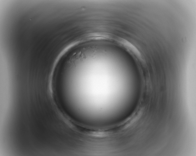 X0000099581182200805231545