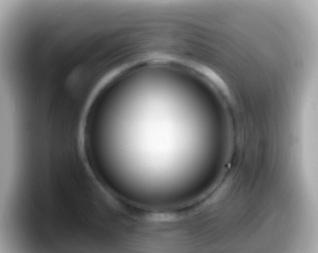 X0000099581183200805231545
