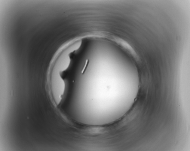 X0000099581184200805231545