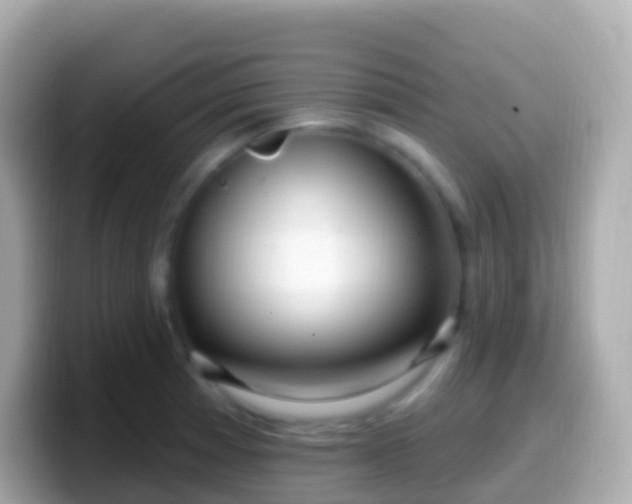 X0000099581185200805231545