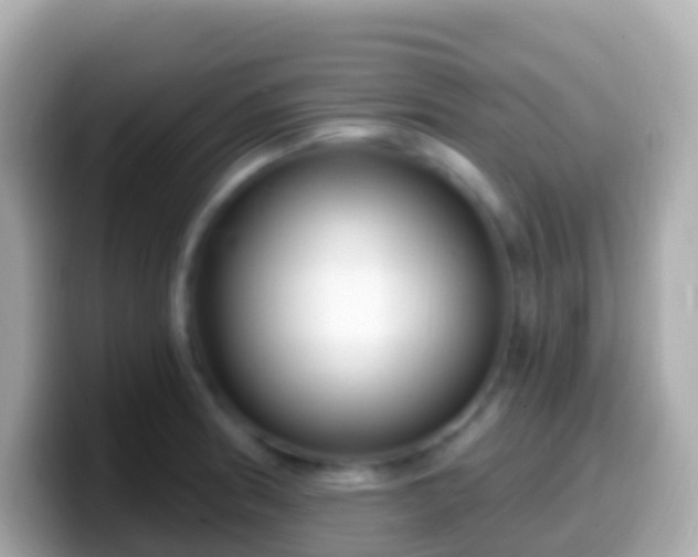 X0000099581186200805231545