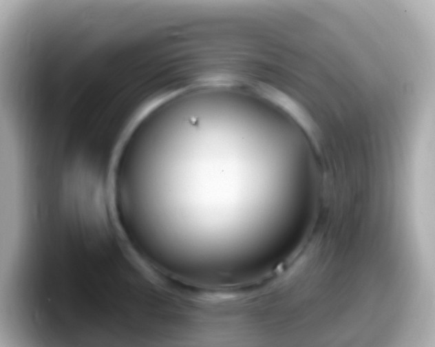 X0000099581187200805231544