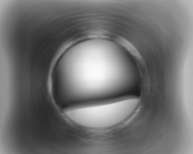 X0000099581188200805231544