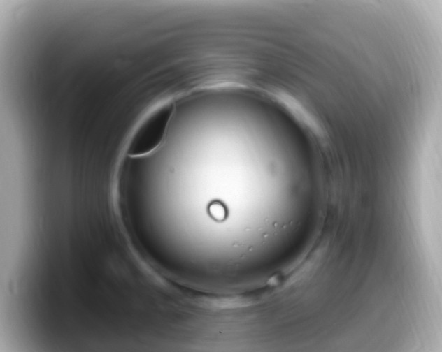 X0000099581189200805231544