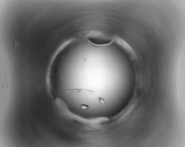 X0000099581190200805231544