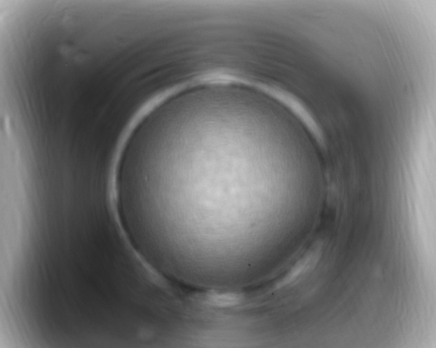 X0000099581191200805231544